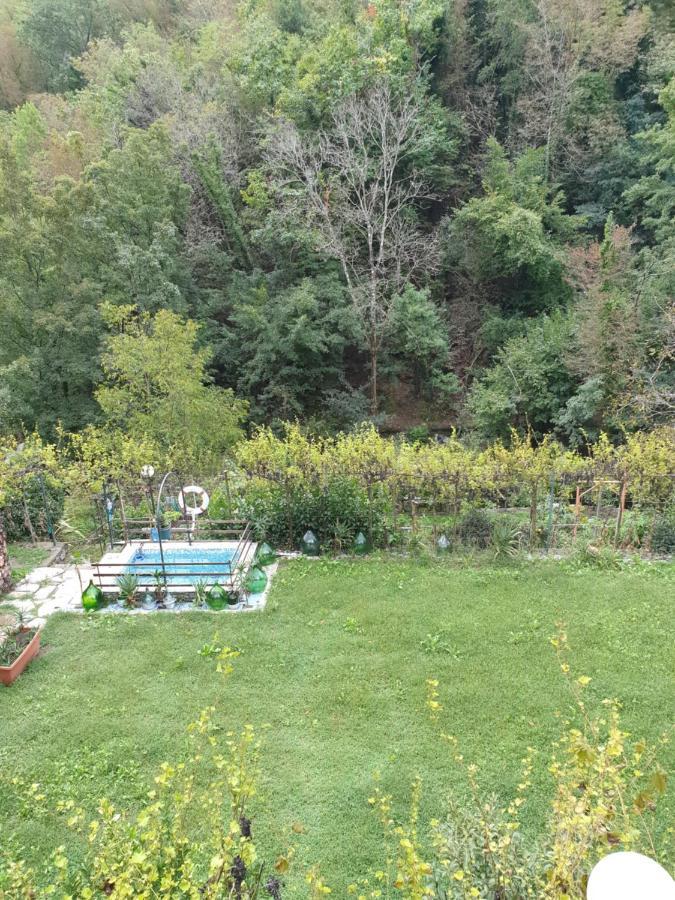 Collina E Mare Casa vacanze