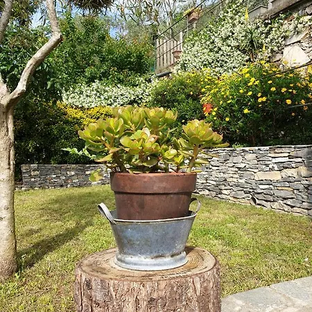 Villa Collina E Mare à Camogli Extérieur photo