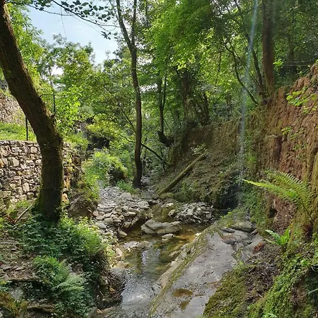 Villa Collina E Mare à Camogli Extérieur photo