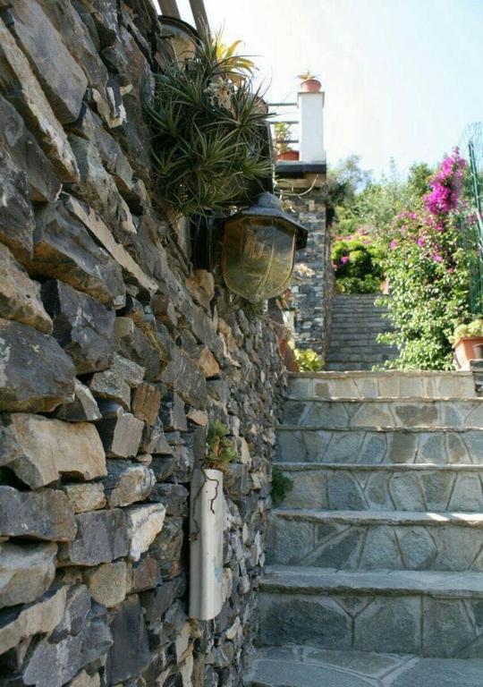 Collina E Mare Camogli
